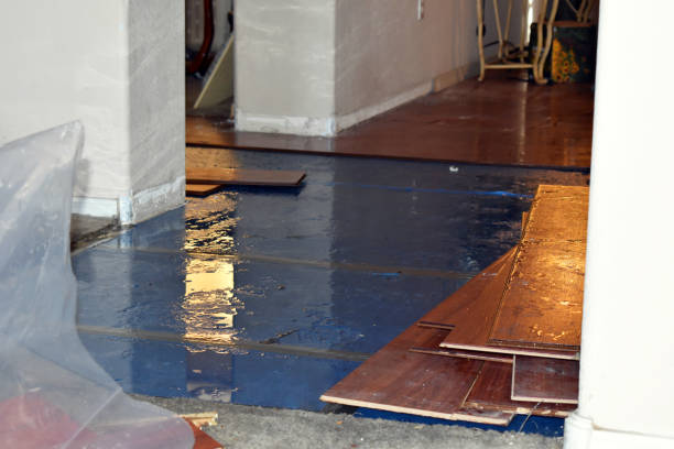 Professional Flood Damage Repair technician working in Bellevue, IA